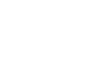 Alfa Romeo of Naples